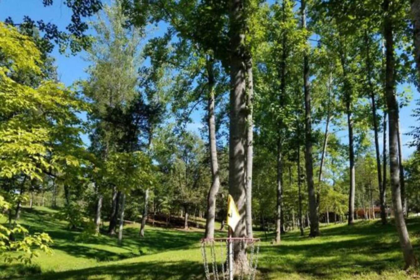Shire At White Lotus Eco Retreat